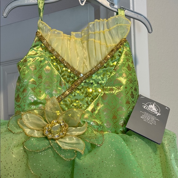 Enchanting Disney Tiana Princess Costume for Kids - Picture 2 of 6
